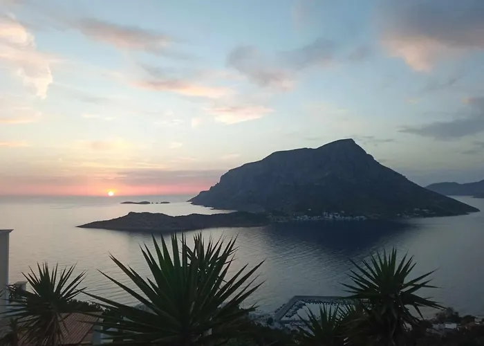 Melodia بيت للعطل *